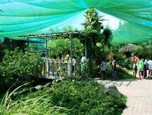 Pineapple Island Resort Daet Екстер'єр фото